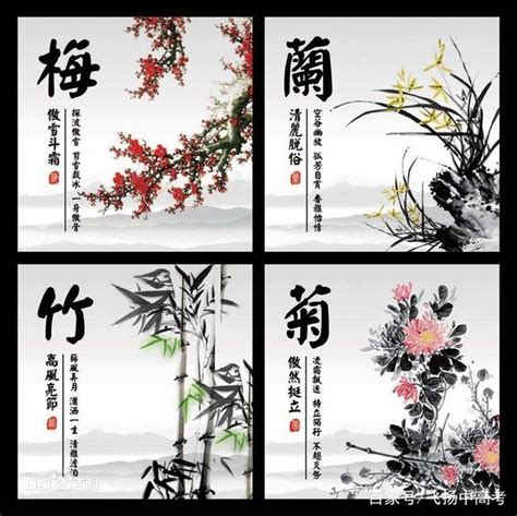 花中四君子的象徵意義|四君子：傳統美德代表